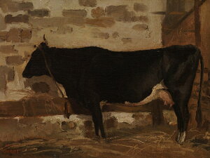 G CeA z Ǌ|GWoeBXgEJ~[ER[ ɂ̋ IׂTCY@Iׂz ʉ  Iׂz IׂTCY