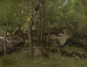 G CeA z Ǌ|GWoeBXgEJ~[ER[ tHe[ku[̐X̊ ʉ  Iׂz IׂTCY