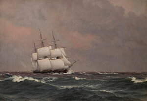 G CeA z Ǌ|GNXgt@[EEBwEGbJ[XxO rꂽC̒̔RxbgEif IׂTCY@Iׂz ʉ  Iׂz 