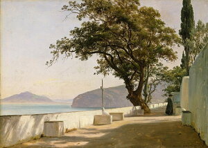 G CeA z Ǌ|Gg}XEt@[ \g̃I[N̖؂ƃeX ʉ  Iׂz IׂTCY