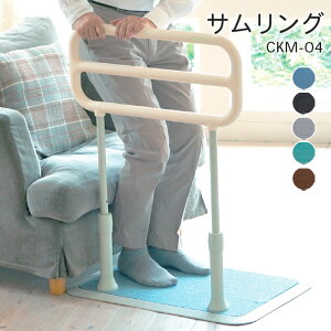 オ ⏕肷  TO O CKM-04 p  ʕێ ⏕ u^肷 ȒPݒu 艻Hy@lz