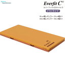 【個人様向け限定商品】特殊寝台付属品 エバーフィットC3 ドライタイプ マットレス 91cm幅 83cm幅 清拭消毒 蒸れ軽減 …