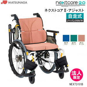 Ԃ y ܂肽 lNXgRAII AWXg NEXT2-51B @\  m[pN nCubh^C NbVt Ԉ֎q i쏊 @l