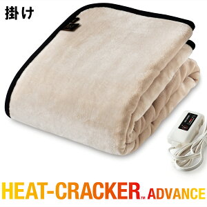 辞書 キャメル キャベツ 電気 毛布 値段 Tokyoan Jp