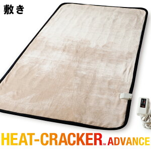 妊娠した 継承 ダウン 電気 敷き 毛布 電磁波 Churakaji Jp 妊娠した 継承 ダウン 電気 敷き 毛布 電磁波 Churakaji Jp