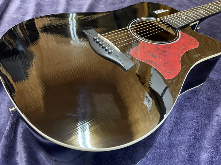 楽天市場 楽天スーパーsale特価品 アコースティックギター アコギ ギター Guitar 楽器 音楽 機材 Music 弦 木 木材 かっこいい 調整済み 黒 ブラック Rosen ピックガード かいじゅうたちの森