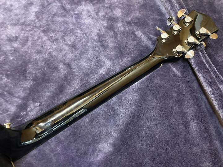 楽天市場 楽天スーパーsale特価品 アコースティックギター アコギ ギター Guitar 楽器 音楽 機材 Music 弦 木 木材 かっこいい 調整済み 黒 ブラック Rosen ピックガード かいじゅうたちの森