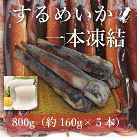 楽天市場 生 スルメイカの通販