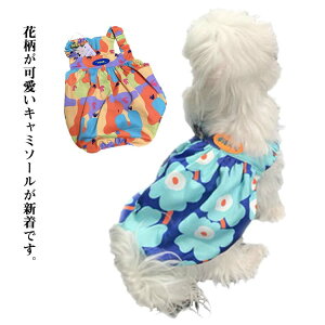  hbOEFA  L~\[E^Ngbv  t  tp ėp s[X/L~\[/^Ngbv ybg t ĕ H ̕