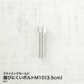 【最大POINT10倍】【あす楽対応】錆びにくいボルトM10（3.5cm）クライミング用ボルト 木壁 パネル コンクリート壁 ボルダリングホールド クライミングホールド クライミングウォール ロッククライミング トレーニング