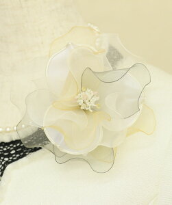 tH[} RT[W t[ cCXg RT[W }Olbgdl Ǝ   w  p[eB[  i VbN l RT[W  {  v[g l