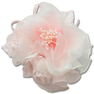 RT[W tH[} 傫 傫 ͂܂Ȃ o ؂₩ tH[}RT[W   w  Ǝ  }} X[c e e u[ sN CG[ p[v 