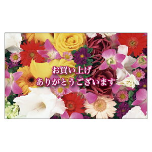 TL[J[h@Ӂ@ՂJ[h@肪ƂJ[h@߂łƂJ[h@hTCY@bZ[WJ[h@fUC@bZ[WJ[h~j@~jTCY@菑@Jt@r@