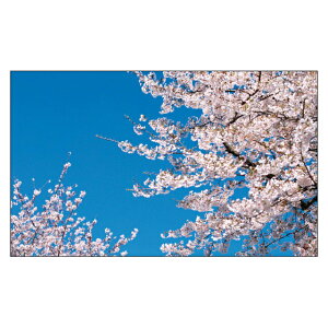 TL[J[h@Ӂ@t@@  w ij ՂJ[h@肪ƂJ[h@߂łƂJ[h@hTCY@bZ[WJ[h@fUC@bZ[WJ[h~j@~jTCY