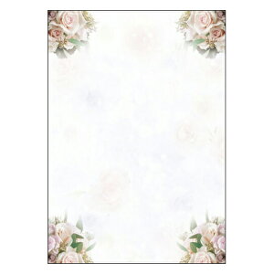 lCI3ZbgyFU-005z݌ɌŏII fUCOAp@`V |bv j[\ ҏ t[ A4TCY@1pbN10mCNWFbgΉpny[֑Ή