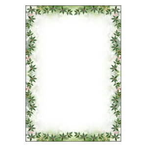 lCI3ZbgyFU-007z݌ɌŏII fUCOAp@`V |bv j[\ ҏ t[ A4TCY@1pbN10mCNWFbgΉpny[֑Ή