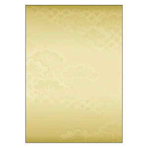 lCI3ZbgyWAIT-006z݌ɌŏII fUCOAp@`V |bv j[\ ҏ@a A4TCY@1pbN10mCNWFbgΉpny[֑Ήi