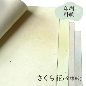 _SSő1500~OFFN[|L^݂   S 25 ܐFZbg(ʍa) 36.5×50(cm)   іڋؓ^    N[ nF  K m