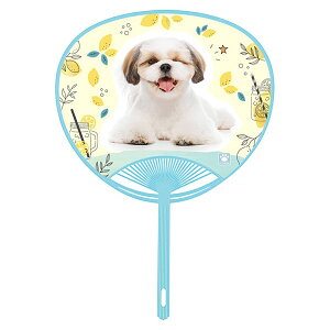 숮 uen-1402 ybguV[Y[v34.5×24.3cm 10 [J[i c E` ֗ a | v[g Mtg fB[X Y jZbNX ΍ M