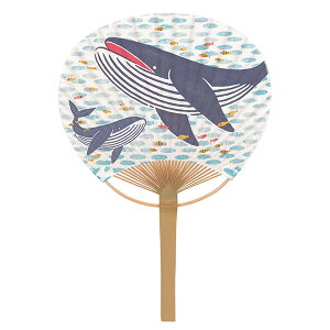 _X[p[SALEő50%OFF^숮 uen-3077 ے|uNWv31×21.5cm 10 [J[i c E` ֗ a i v[g Mtg fB[X Y jZbNX 