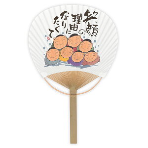 _X[p[SALEő50%OFF^숮 uen-3160 񂫂イ | [aquΊ̗Rv38×24.5cm 10 [J[i c E` ֗ a i v[g Mtg fB[