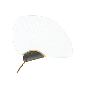 _X[p[SALEő50%OFF^숮 uen-357 ʖnus璹^ v22×29cm [J[i c E` ֗ a i v[g Mtg fB[X Y jZbNX 