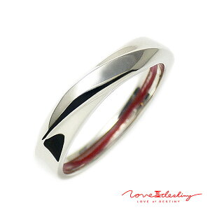 LOVE of DESTINY Ԃ Y O Vo[950 SV950 LODR-009