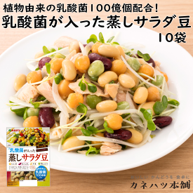 カネハツ 蒸しサラダ豆 乳酸菌が入った蒸しサラダ豆 メーカー直送 調理済み サラダ スープ 煮物 ちょい足し イソフラボン たんぱく質 食物繊維 お取り寄せグルメ