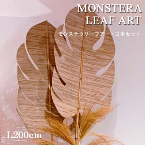 Xe[tA[g2{Zbg 2m Xe oii[t ou[ CeAG  킢 ԍ R[fBl[g i` VRf IuWF fBXvC ][g 썑 