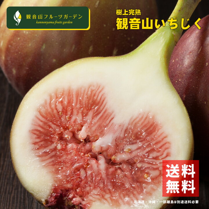 楽天市場 豊熟ふわトロ 完熟いちじく a級 18玉 贈答用ギフト箱入り 和歌山県 産地直送 観音山フルーツガーデン 送料無料 観音山フルーツガーデン楽天市場店