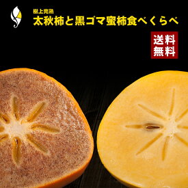 紀ノ川黒ゴマ蜜柿5玉と太秋柿5玉の贅沢柿食べ比べセット B級品 観音山フルーツガーデン 送料無料