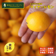 国産 マイヤーレモン わけあり B級品 黄色 1kg 皮まで安心の国産マイヤーレモン 観音山フルーツガーデン …