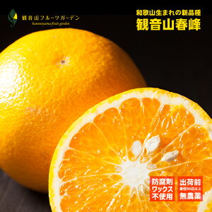 t nJ[ A 5kg a̎R ωRt[cK[f 