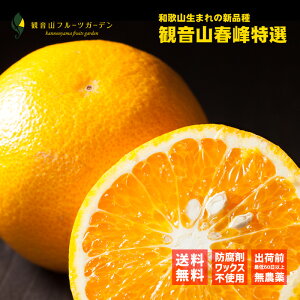 t nJ[ I 7 a̎R ωRt[cK[f 