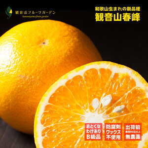 t nJ[ B 5kg a̎R ωRt[cK[f 