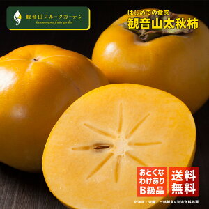 H` イ 񂿂V 󂠂Bi 7kg a̎R ωRt[cK[f 