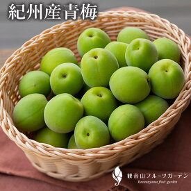 初回購入限定 紀州梅 青梅（農家直送！）A級 3kg 和歌山県産 観音山フルーツガーデン 送料無料