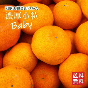 a̎RωR݂ ZxCr[ AB 3kg a̎RYB݂ ωRt[cK[f 