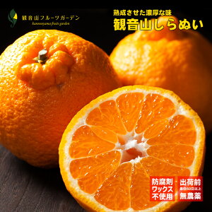 sm ʂ fR ʓ Ai 7kg a̎R ωRt[cK[f 