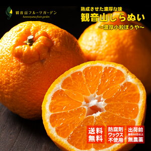 sm ʂ fR Zڂ 3kg a̎R ωRt[cK[f 