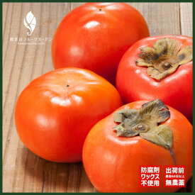 富有柿 樹上完熟甘柿 初霜富有 富有四海之内 A級品 8kg 和歌山 観音山フルーツガーデン 送料無料