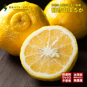 ͂邩 y Ai 9kg a̎R̔_璼 ωRt[cK[f 