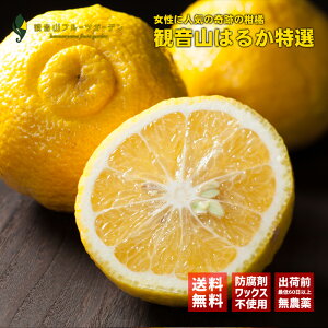 ͂邩 I AAA p 10 a̎R̔_璼 ωRt[cK[f 