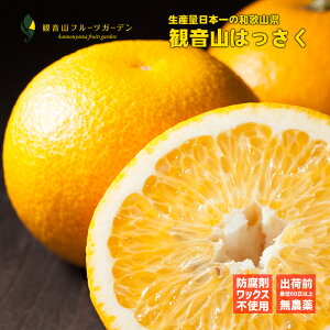 ͂ IB̖ Ai 3kg a̎R ωRt[cK[f 