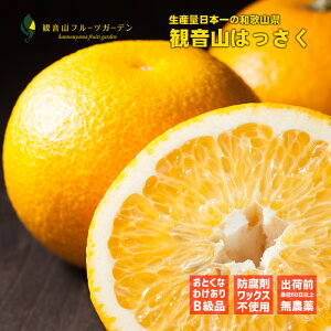 ͂ IB̂ڂ댎 5kg 󂠂Bi a̎R ωRt[cK[f 