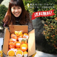 【スーパーSALE】【公式】旬のフルーツ詰め合わせセット 観音山フルーツガーデン テレビ雑誌取材多数 イ…