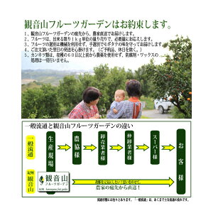 楽天市場 紀ノ川柿 黒ゴマ蜜柿 3kg 観音山フルーツガーデン 送料無料 予約商品 観音山フルーツガーデン楽天市場店