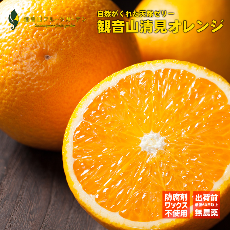 和歌山県特産の清見オレンジ 清見オレンジ 清らかに A級品 10kg 和歌山 観音山フルーツガーデン 送料無料