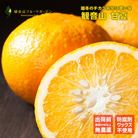 甘夏 和歌山 観音山 B級品 甘酸っぱい夏 5kg 観音山フルーツガーデン 送料無料