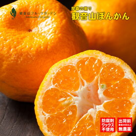 ポンカン 和歌山 観音山 早春の薫り A級品 4kg 観音山フルーツガーデン 送料無料